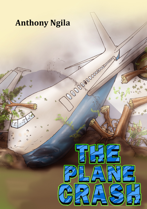 THE PLANE CRASH