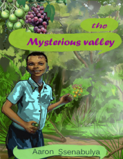 the mysterious valley